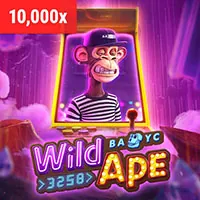 Hỗ trợ đại lý bj66 link 24/7